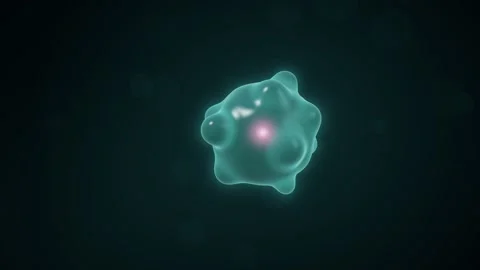 Apoptosis Cell Blebbing and Fragmentation Into Apoptotic Bodies Animation 库存影片 347279751