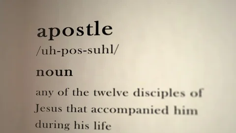 WHAT IS APOSTLE MEANING visual data 8