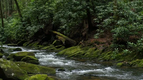 Appalachian Mountain Stream in HD 4K Vidéo 39384827
