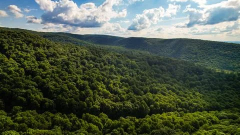 Appalachian Mountainside Stock Photos