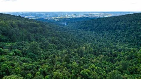 Appalachian Mountainside Stock Photos