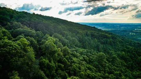 Appalachian Mountainside Stock Photos