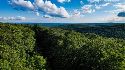 Appalachian Mountainside Stock Photos