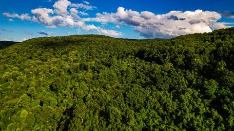 Appalachian Mountainside Stock Photos