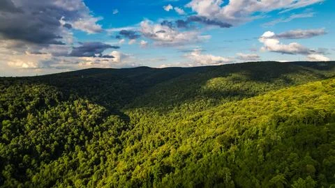 Appalachian Mountainside Stock Photos
