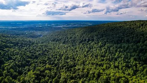 Appalachian Mountainside Stock Photos