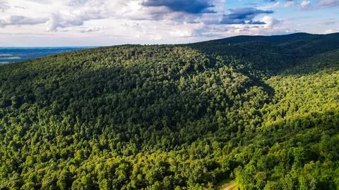 Appalachian Mountainside Stock Photos