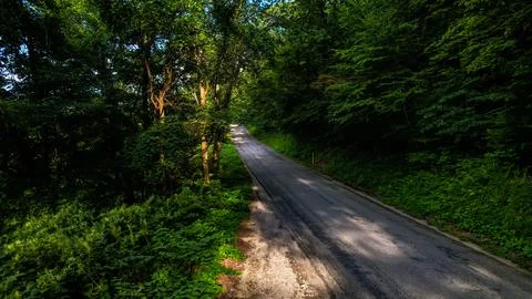 Appalachian Mountainside Stock Photos