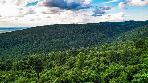 Appalachian Mountainside Stock Photos