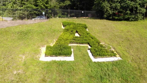Appalachian State Kid Brewer Stadium Logo A 動画素材 295448904