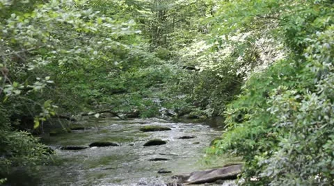 Appalachian Stream 1 Stock Footage 12167054
