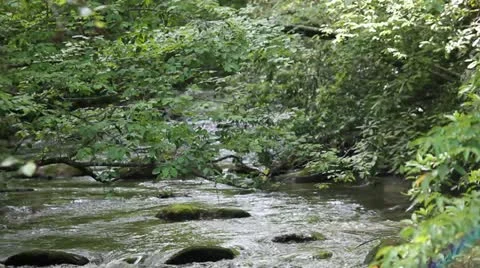 Appalachian Stream 4 Stock Footage 12167338