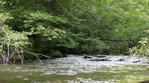 Appalachian Stream 7 Stock Footage 12167721