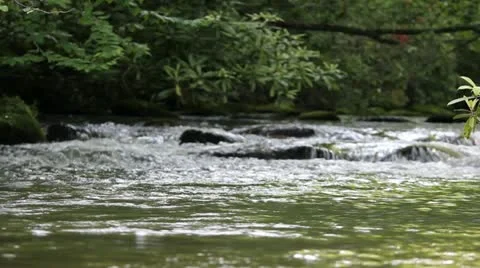 Appalachian Stream 8 Stock Footage 12167905