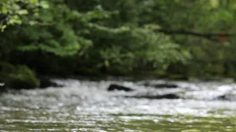 Appalachian Stream Blurred Stock Footage 12168002