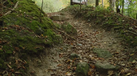 Appalachian Trail (4 of 4) Stock Footage 33736019