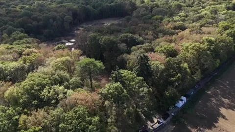 ‘Appalling’ illegal waste dump in ancient woodland fully cleared Stock-Footage 347331600