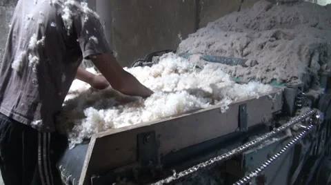 Appalling working conditions in cotton cleaning factory, child labor Stock Footage