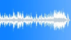 AppaloosaStock Music