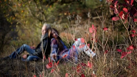 Apparatus for analyzing blood Stock Footage 71043334