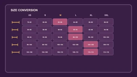 Apparel Size Conversion Matrix Data HUD Stock Footage 343080730