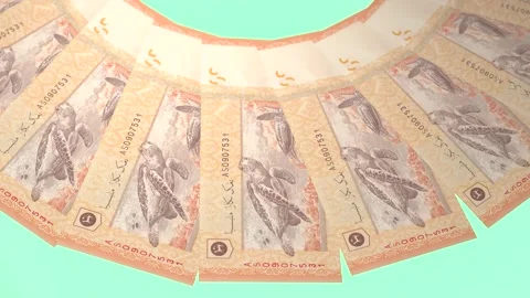 Appealing Looping Design 20 Ringgit Curency of Malaysia Stock-Footage 306827979