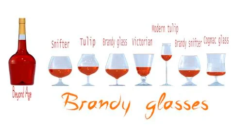 Appearance and names of the main types of brandy glasses Stock Illustration