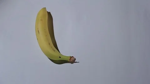 Appearance of bananas on a white background, stop motion, animation. Stock Footage 76081831