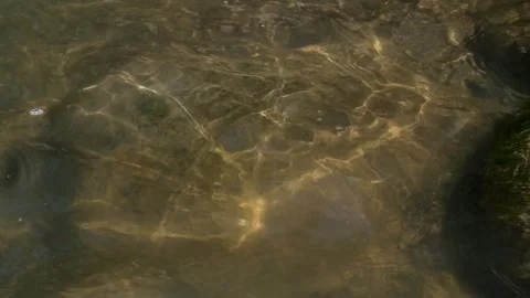 Appearance of a clear river bed Stock Footage 287291085