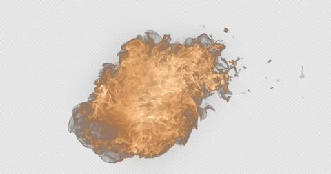 Appearance in the Fire Stock Footage 172272612
