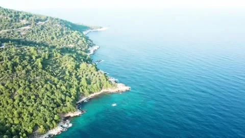 The appearance of an island with dense forest on the seafront Stock-Footage 244625900