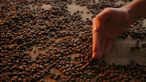 Appearance of modern cup hot strong coffee after sliding by hand coffee beans Stock Footage 138523600
