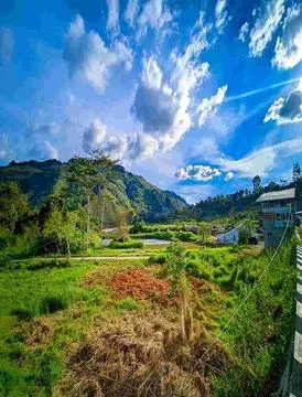Appearance of nature Stock Photos