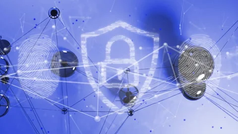 On appearance, nodes linking forming shield, fingerprint pulsing, data swirling, Stock Footage 315558251