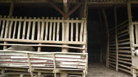 The appearance from the outside of the sheep pen is made of wood Stock Footage 263700079
