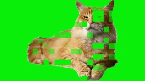 Appearance from Pixel Cat. Matrix Video stock 134943892