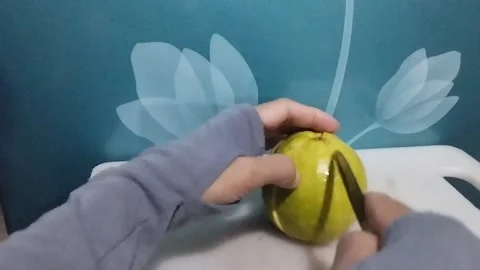 The appearance of the red crystal guava being cut is very nice Stock Footage 229255362