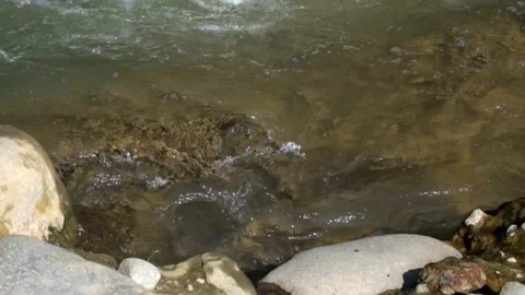 Appearance of the river bank area Stock Footage 287993102