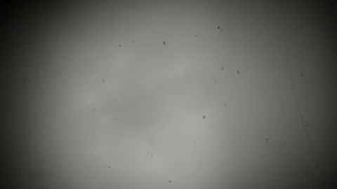 The appearance of snowflakes out of blur Stock Footage 104475330