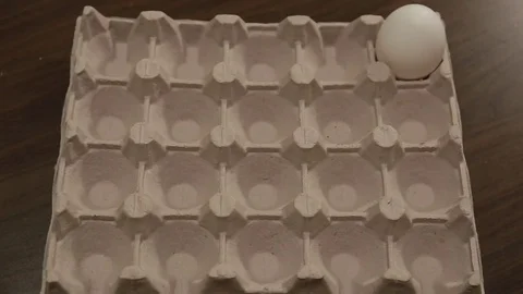 Appearance of white and brown eggs in egg carton cell. Eggs  animation. Stock Footage 84561102