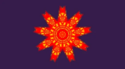 Appearing star (flower) Stock Footage 8794463