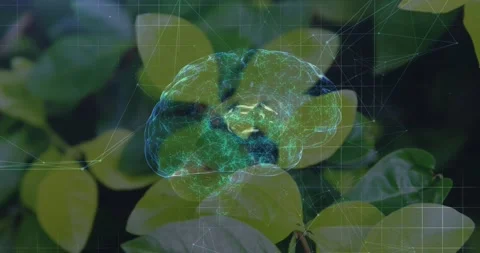 On appearing, translucent 3D brain rotating and pulsing over leaves, wireframe Stock Footage 329576380