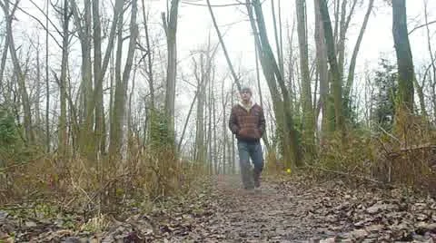 Appearing from the Woods Stock Footage 10884690