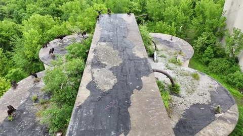 That Appears - Syracuse, NY Stock Footage 336326983