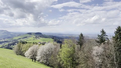 Appel and cider trees in lower austria Stock Footage 295018974