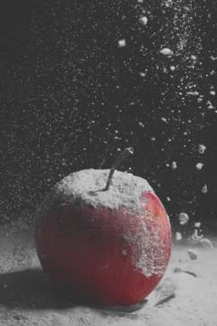 Appel in Snow Stock Photos