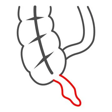 Appendix is inflamed thin line icon, body pain concept, acute appendicitis Stock Illustration