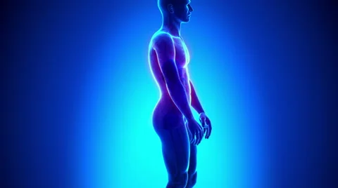 Appendix pain Stock Footage 42331557