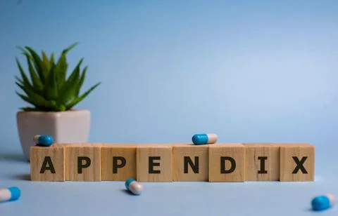 APPENDIX word made with building blocks, medical concept Stock Photos