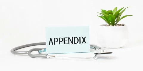 APPENDIX word on notebook,stethoscope and green plant Stock Photos